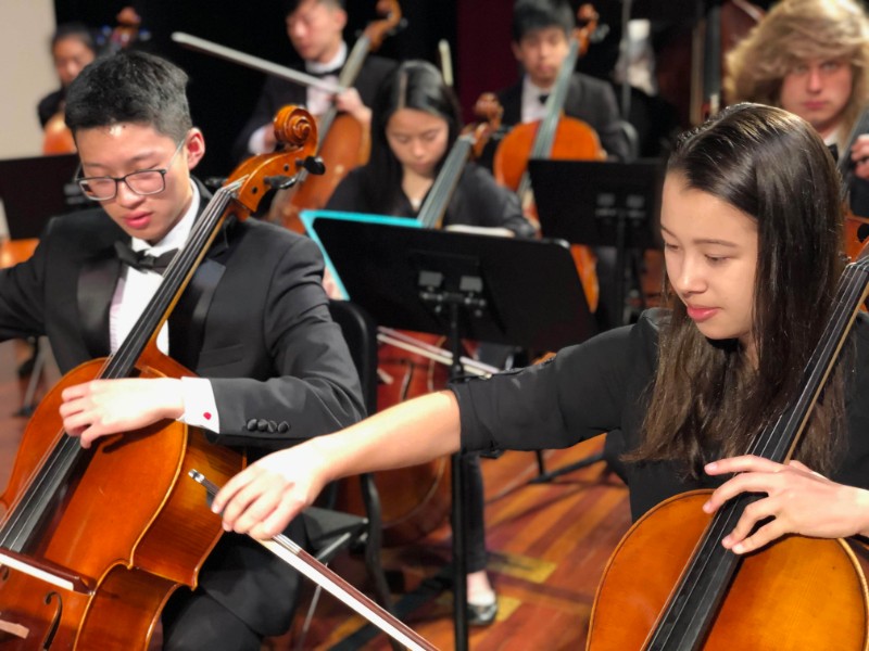 The Palo Alto Chamber Orchestra