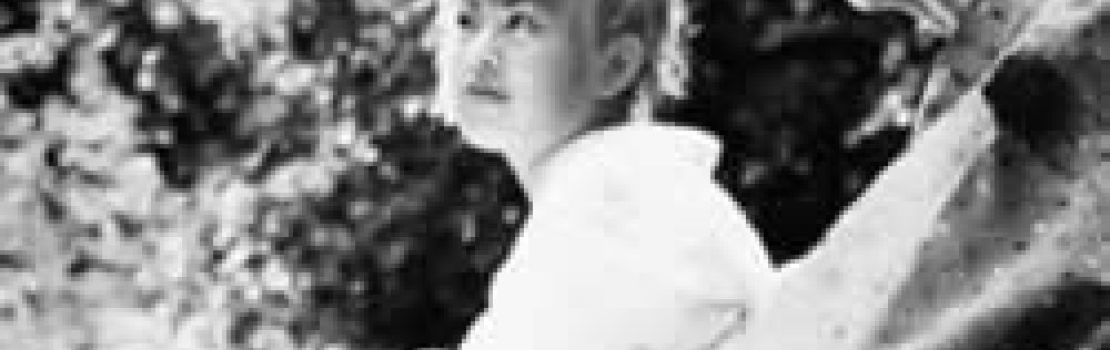 Firefly Dreams (Ichiban U