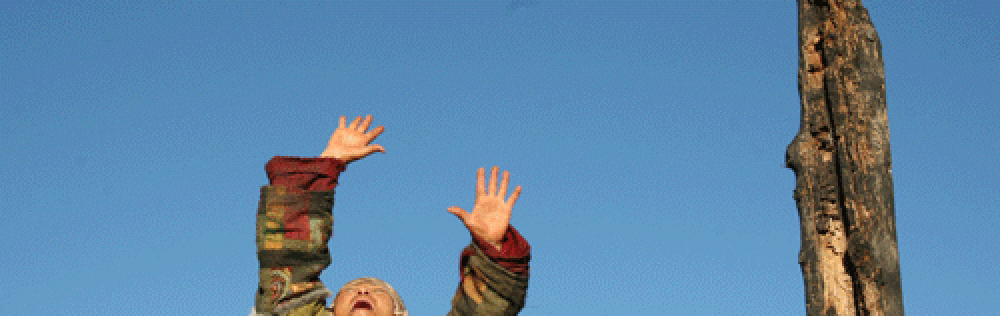 Native Dancer (Baksy)